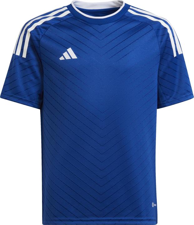 Royblu