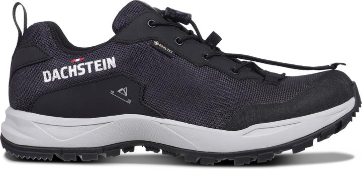 Actual product image Dachstein Delta Ascent GTX (46)