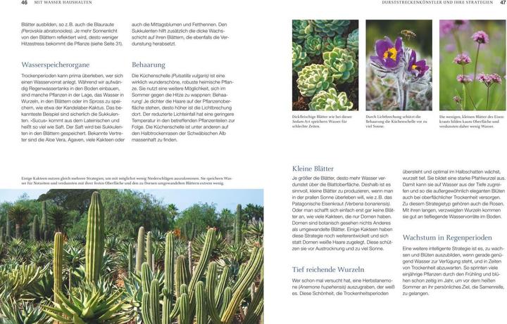 Produktbild Robuste Schönheiten für den Garten (Deutsch, Ina Timm, 2020)