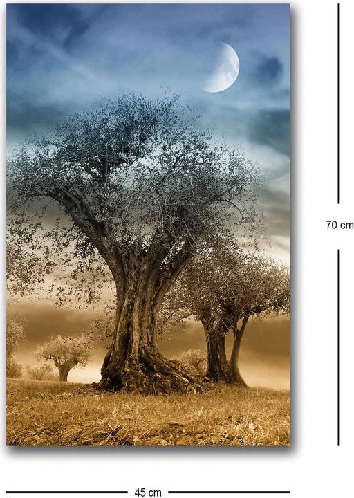 Produktbild Wallxpert Marco (45 x 70 cm)
