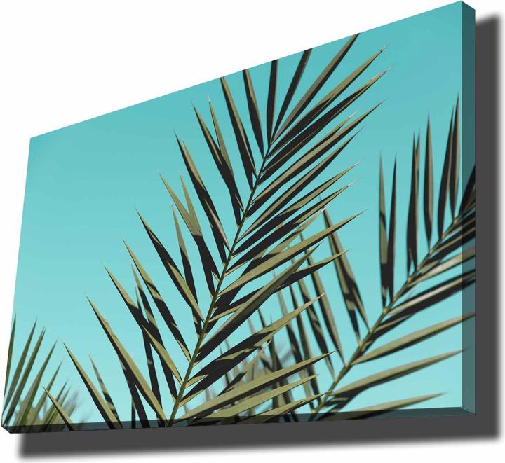 Produktbild Wallxpert Harry (70 x 100 cm)