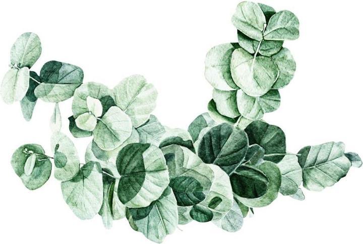 Produktbild Trenddeko XXL Eukalyptus - Vintage (120 x 81 cm)