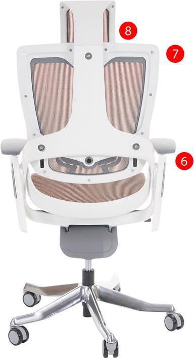 Actual product image Merryfair Woof 2