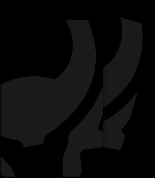 Image du produit Cryptotag Loki Cover - Stealth