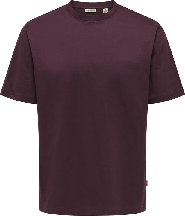 Only & Sons Onsfred Life Rlx Ss Tee Noos