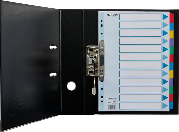 Produktbild Esselte Kartonregister Blanko