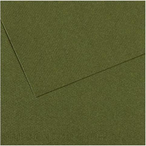 Image du produit Canson Papier à dessin Mi-Teintes, vert foncé (160 g/m², 1 x)