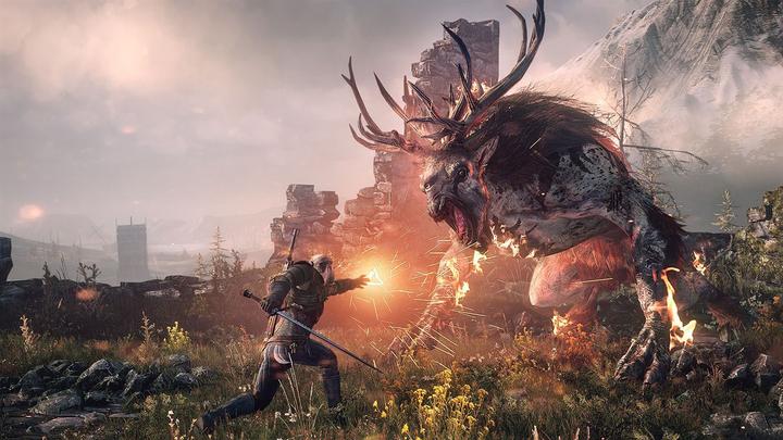 Actual product image Bandai Namco The Witcher 3: Wild Hunt - GOTY (PS4, Multilingual)