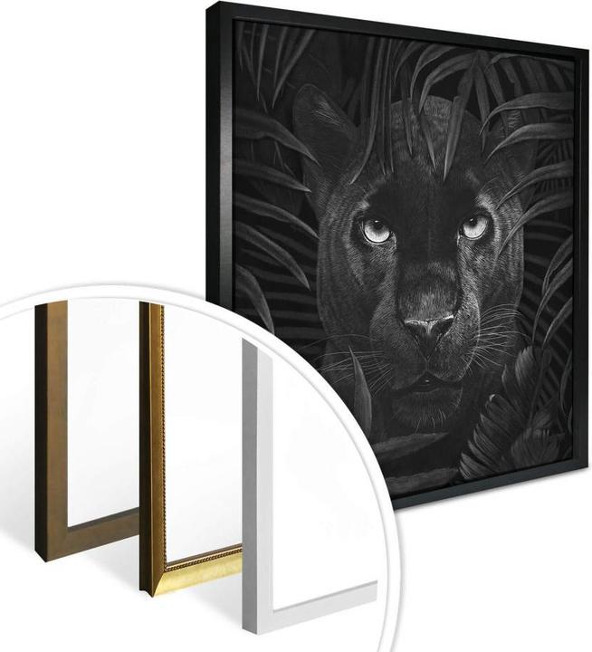 Produktbild Trenddeko Panther in jungle (50 x 50 cm)