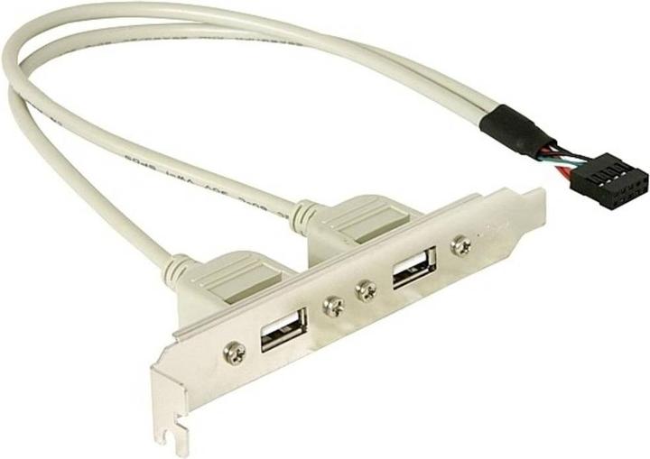 Immagine prodotto Delock Staffa a slot 2x USB 2.0 a 10 pin di testata (0.30 m, USB 2.0)