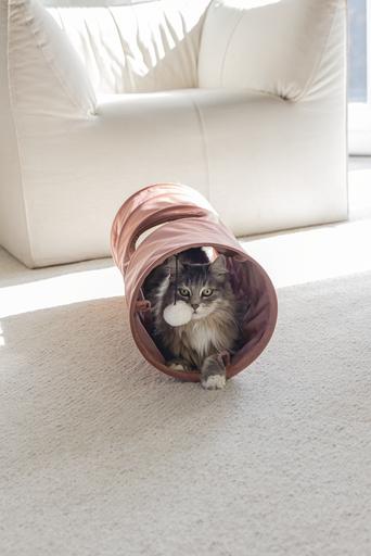 Actual product image Designed by Lotte Cat tunnel Cylla