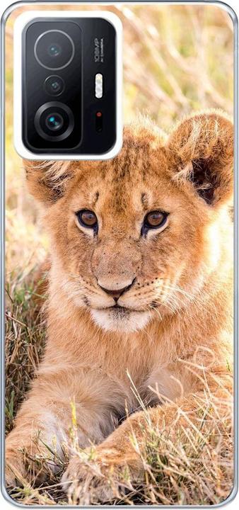 Lions baby