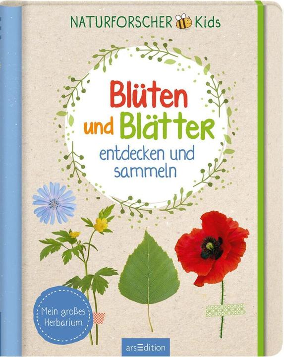 Actual product image Naturforscher-Kids – Blüten und Blätter entdecken und sammeln (German, Anna Linstadt, 2024)