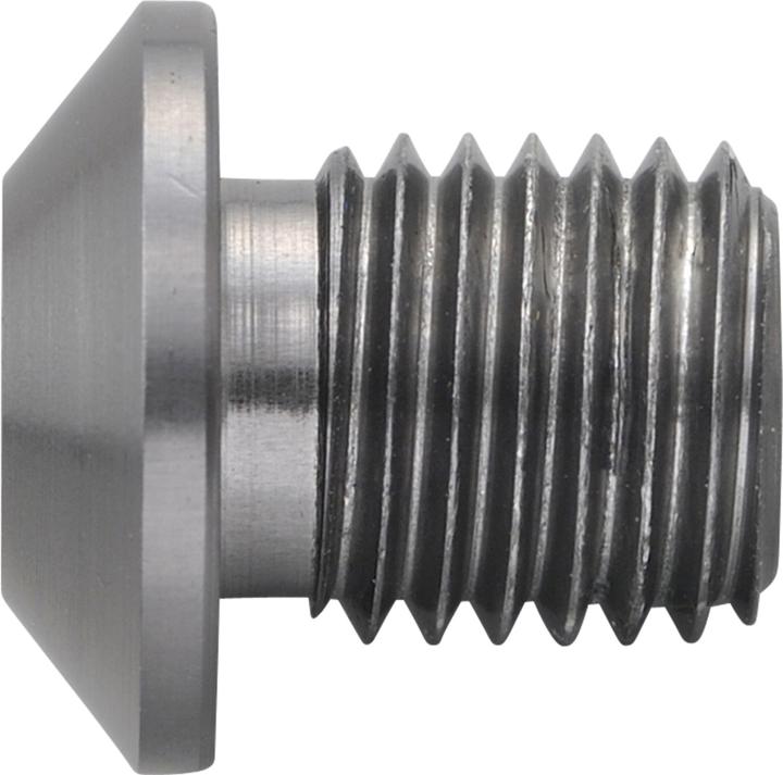 Image du produit Daytona Cache-vis aluminium CNC coloris titane anodisé F. Miroir filetage M10 X P1.25 filetage à gauche