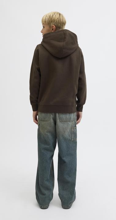Actual product image Jack & Jones Jjesoho Sweat Hood Noos Jnr (164)
