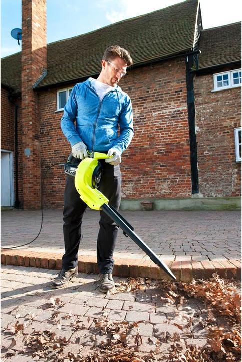 Actual product image Ryobi Rbv3000cesv (Electrical connection, Leaf blower)