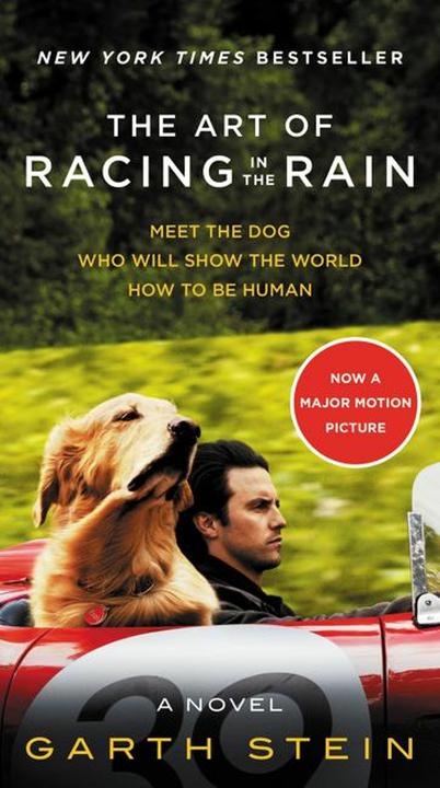 Produktbild The Art of Racing in the Rain. Movie Tie-in Edition (Englisch, Garth Stein, 2019)