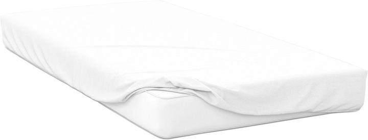 Produktbild Belledorm Spannbetttuch JerseyBaumwolle