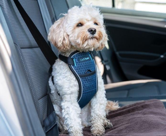 Produktbild Company of Animals CarSafe Autogeschirr Crash-getestet (Hund, Reflektoren)