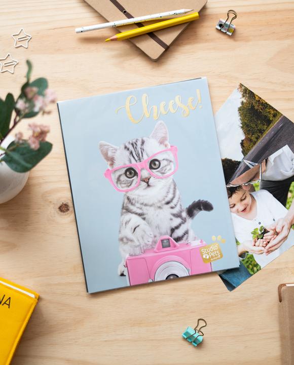 Produktbild Grupo Erik Photo Album - Studio Pets Cat Tabby (13 x 20 cm)