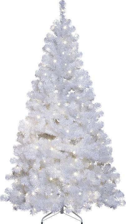 Star Trading Ottawa (210 cm)