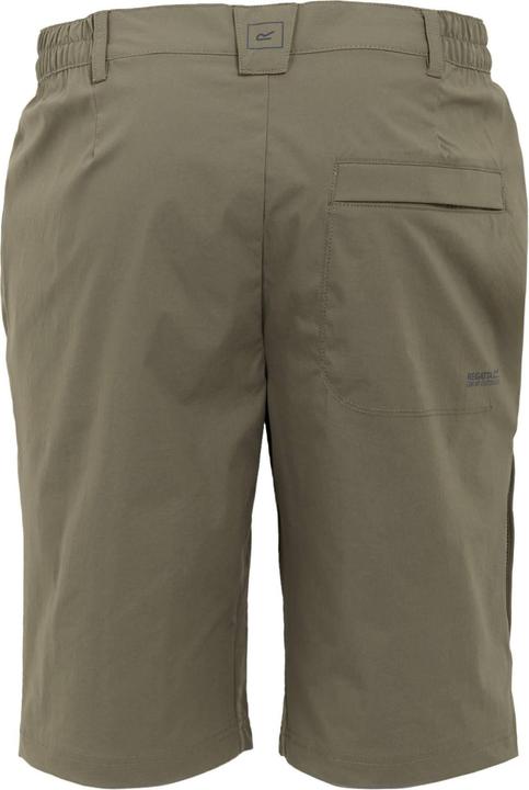 Actual product image Regatta Mens Highton II Long Length Walking Casual Shorts (36)