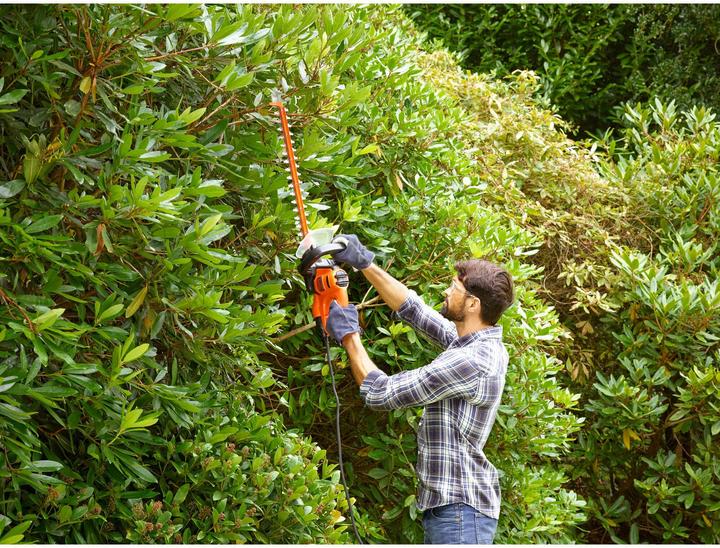Productafbeelding Black & Decker BD DIERENSCHAAR 500W (Elektrische heggenschaar)