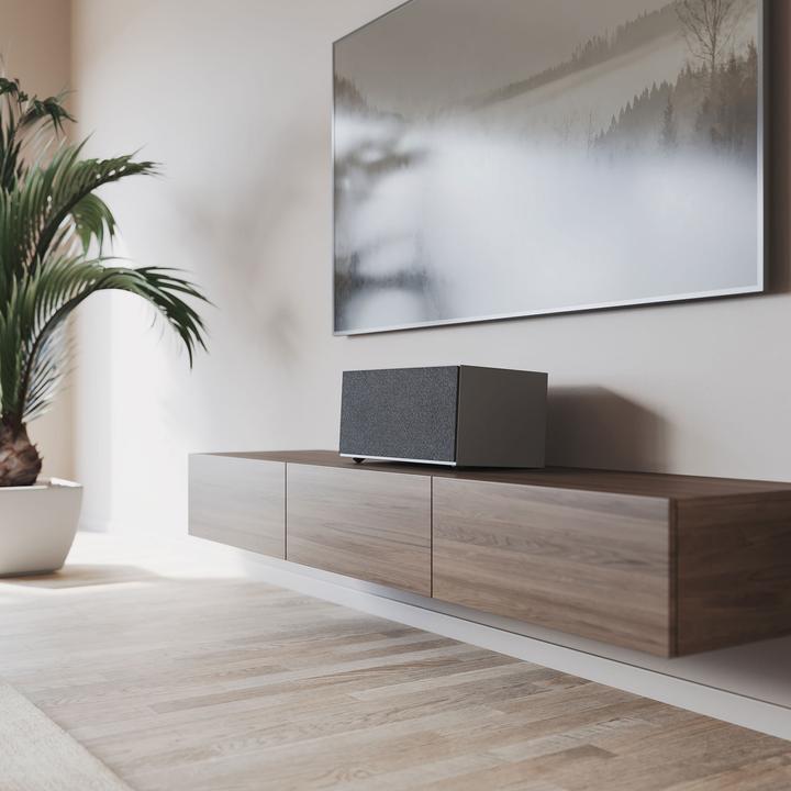 Actual product image Audio Pro C20 Multi-Room Speaker (Radio Frequency (RF), Airplay 2, Bluetooth, Wi-Fi)