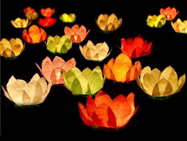 Actual product image Partydeco Floating Water Lanterns Lotus Flowers