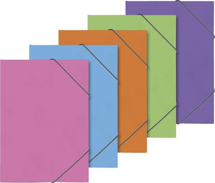 Actual product image Ring binder Fact! plus A4 chipboard 15mm 2 rings assorted elasticated (A4, 1 Piece)