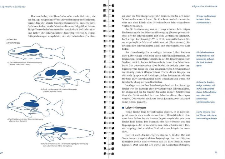 Produktbild Arbeitsbuch Fischerprüfung (Deutsch, LV-Buch, Manfred Hammer, Michael Möhlenkamp, Ernst Heddergott, 2015)