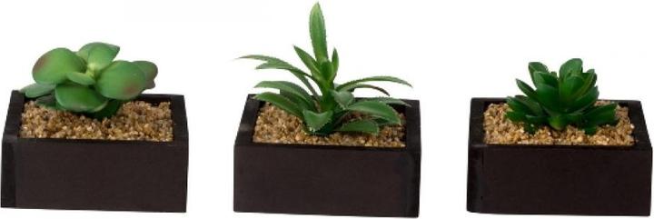 IKO Cactus artificiel (10 cm)