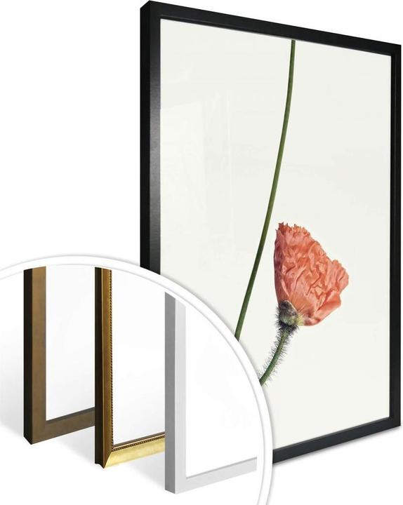 Image du produit Trenddeko La fleur rouge 02 (30 x 40 cm)