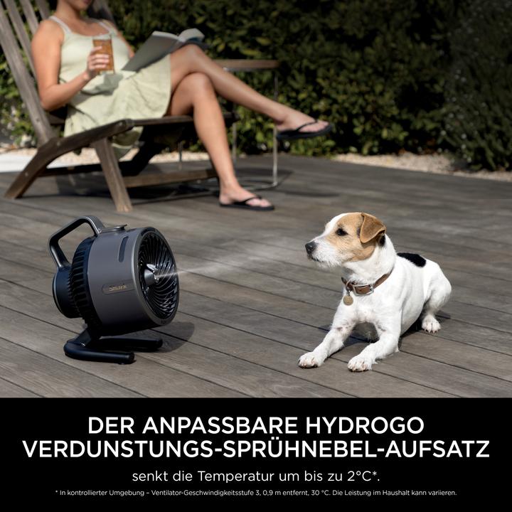 Actual product image Shark FA050EU FlexBreeze Go (65 dB)