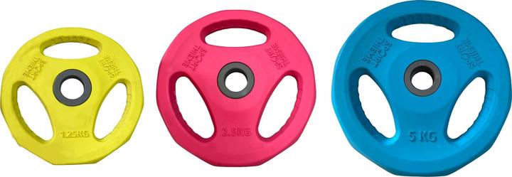 Sport-Thieme Rubber weight plate for pump set