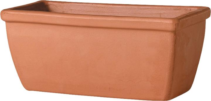 Actual product image White Roma (17 cm)