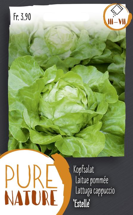 Produktbild Do it + Garden Kopfsalat 'Estelle' 0.25g (Gemüsesamen)