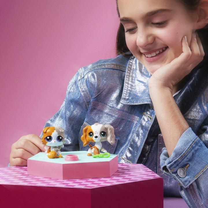 Immagine prodotto Littlest Pet Shop - Pet Pair Ass CDU - (00623)