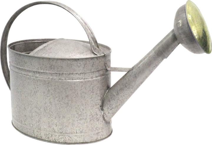 Giesskanne (10 l)