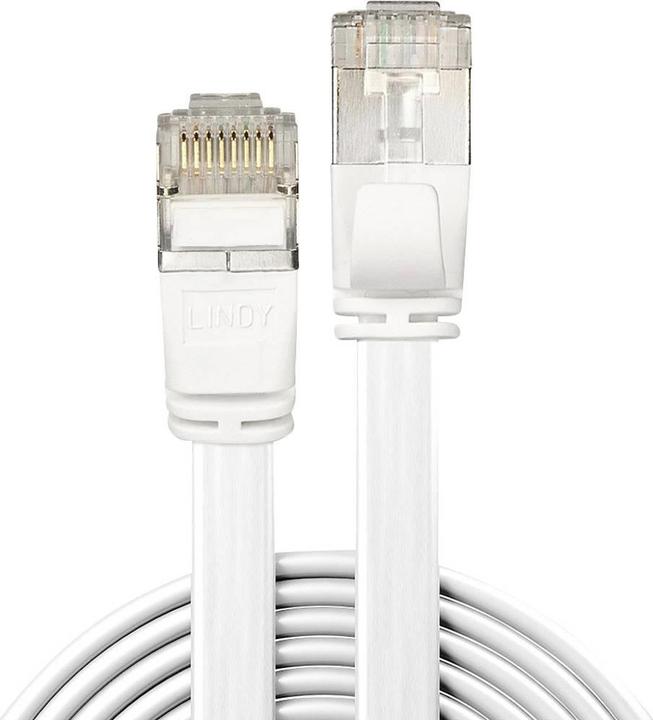 Actual product image Lindy Network cable (U/FTP, CAT6a, 0.30 m)