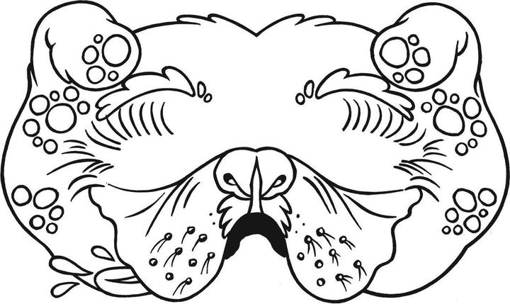 Actual product image Funny masks to colour in