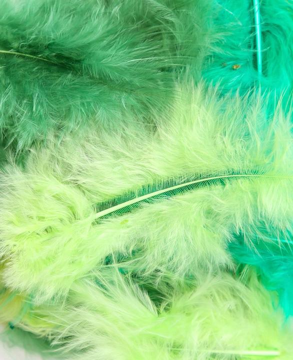 Image du produit I Am Creative Plumes décoratives, plumes pour décorations et pour l'artisanat, mélange vert, 5 - 8 cm, environ...