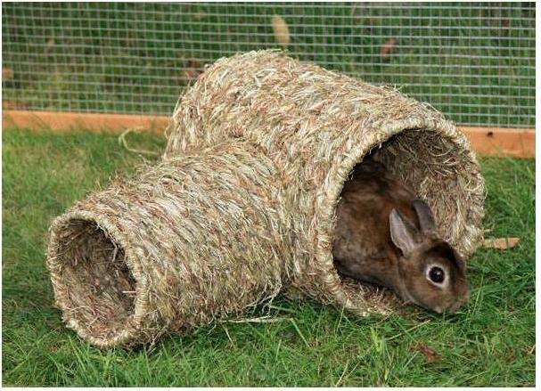 Actual product image Kerbl Grass tube