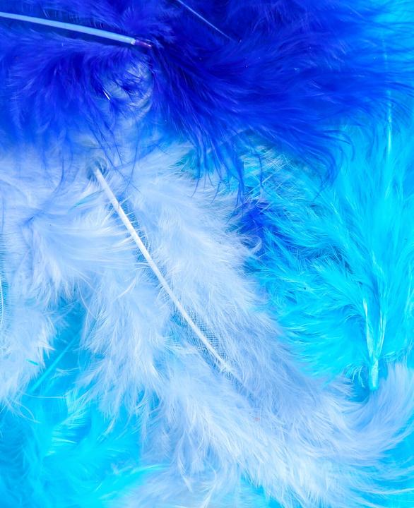 Image du produit I Am Creative Plumes décoratives, plumes pour décorations et pour l'artisanat, mélange bleu, 5 - 8 cm, environ...