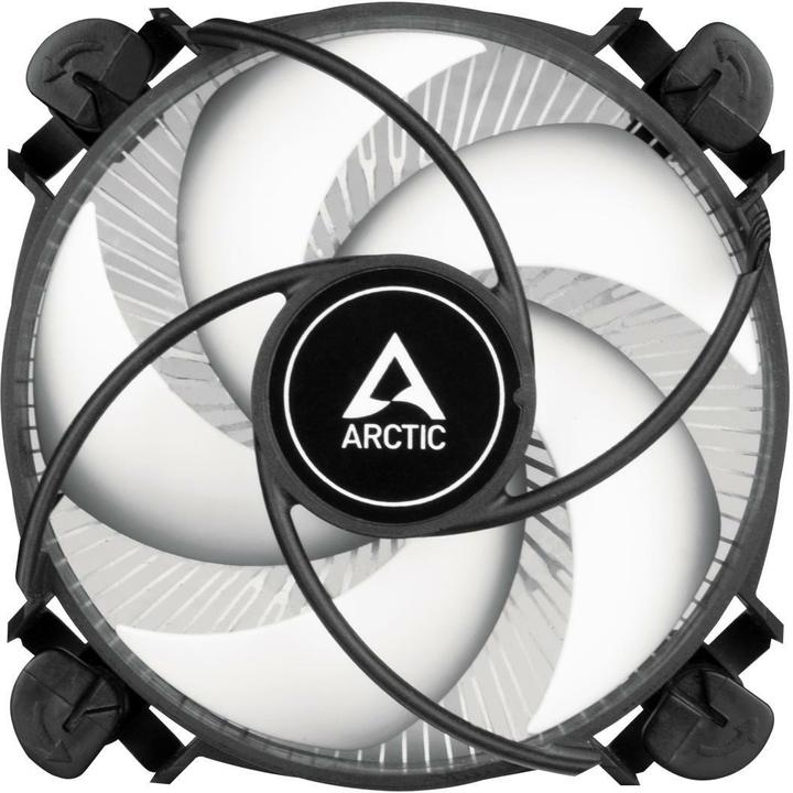 Actual product image Arctic Alpine 17 (77 mm)