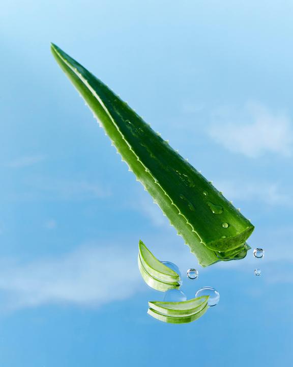 Produktbild NIVEA Aloe & Pflege (Körperlotion, 800 ml)