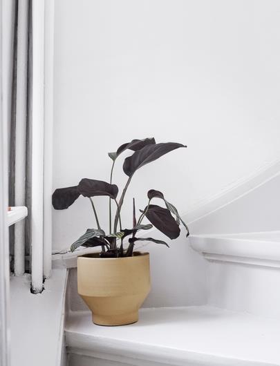 Actual product image Skagerak Edge (18 cm)