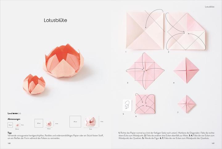 Produktbild Das grosse Origami Buch (Deutsch, Adeline Klam, 2024)