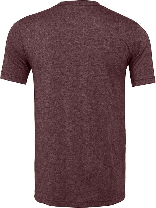 Actual product image Bella Canvas CVC TShirt adults (M)