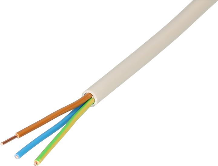 Image du produit Max Hauri Câble TT (25 m)